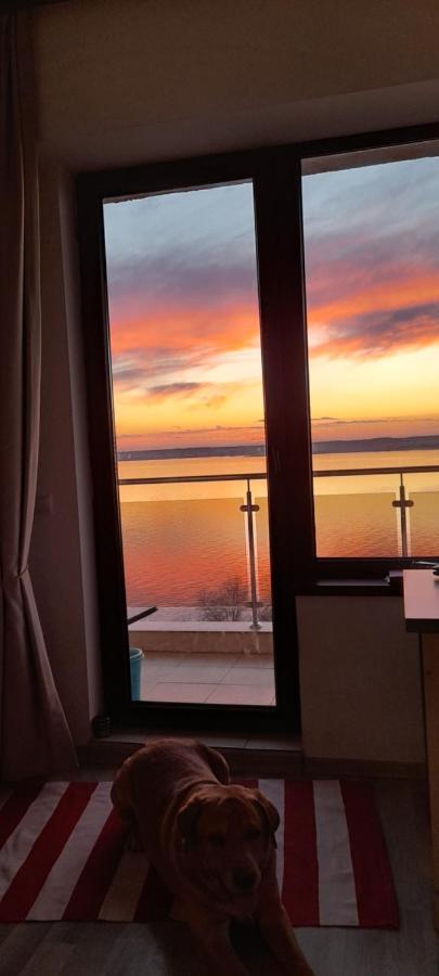 Bella Vista Summerland Mamaia Buitenkant foto